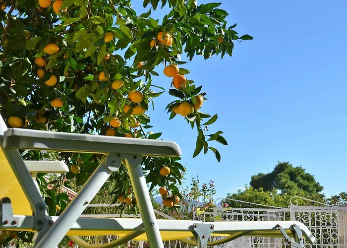 Laidback - Two Bedroom With Terrace And Sea View Paradise דירה